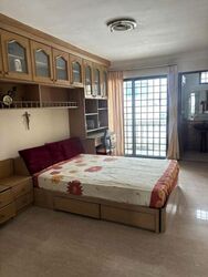 Paya Lebar Crescent (D19), Semi-Detached #625757491
